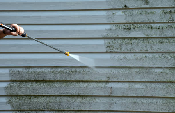 Best Emergency Mold Removal  in Gibson City, IL
