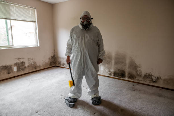 Best Crawl Space Mold Removal  in Gibson City, IL